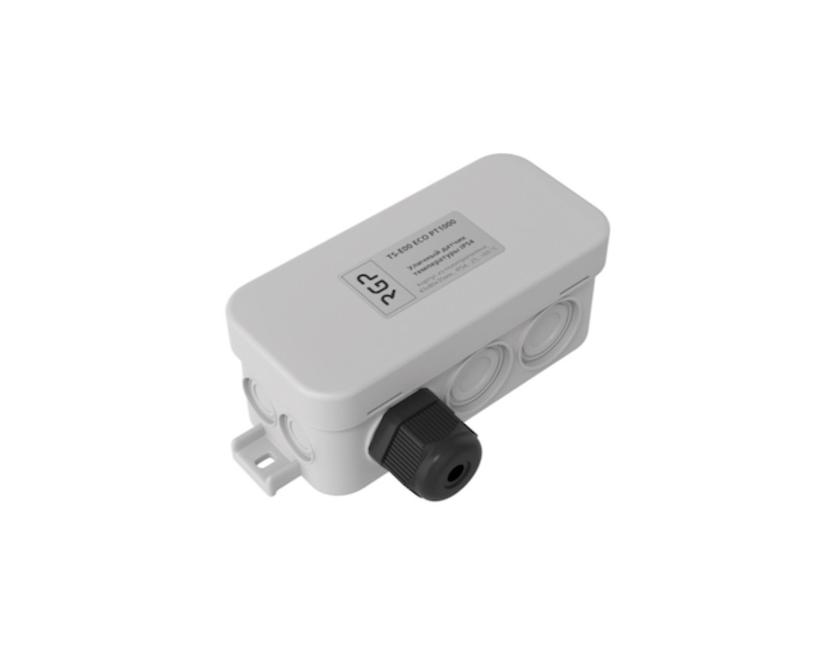 Уличный датчик температуры RGP TS-E00 ECO NTC5k